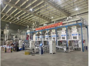 Primary and secondary packaging production line successfully start production for corn seed.